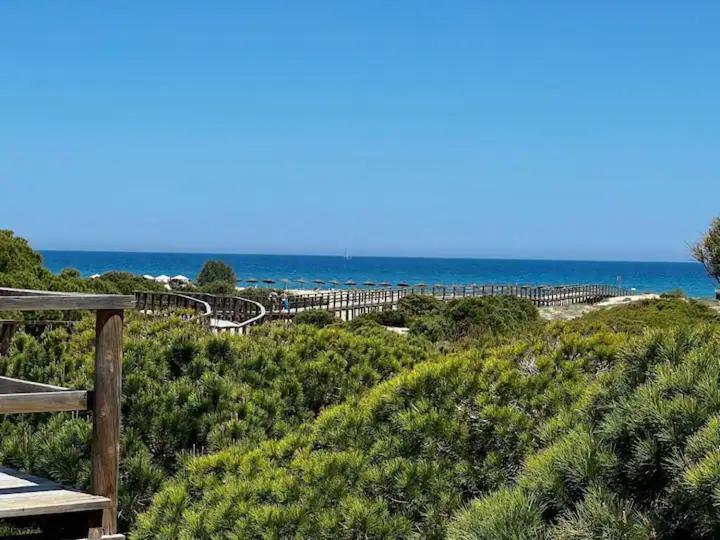 Casa Canarias En Alicante, Playa Y Piscina غران ألاكانت المظهر الخارجي الصورة